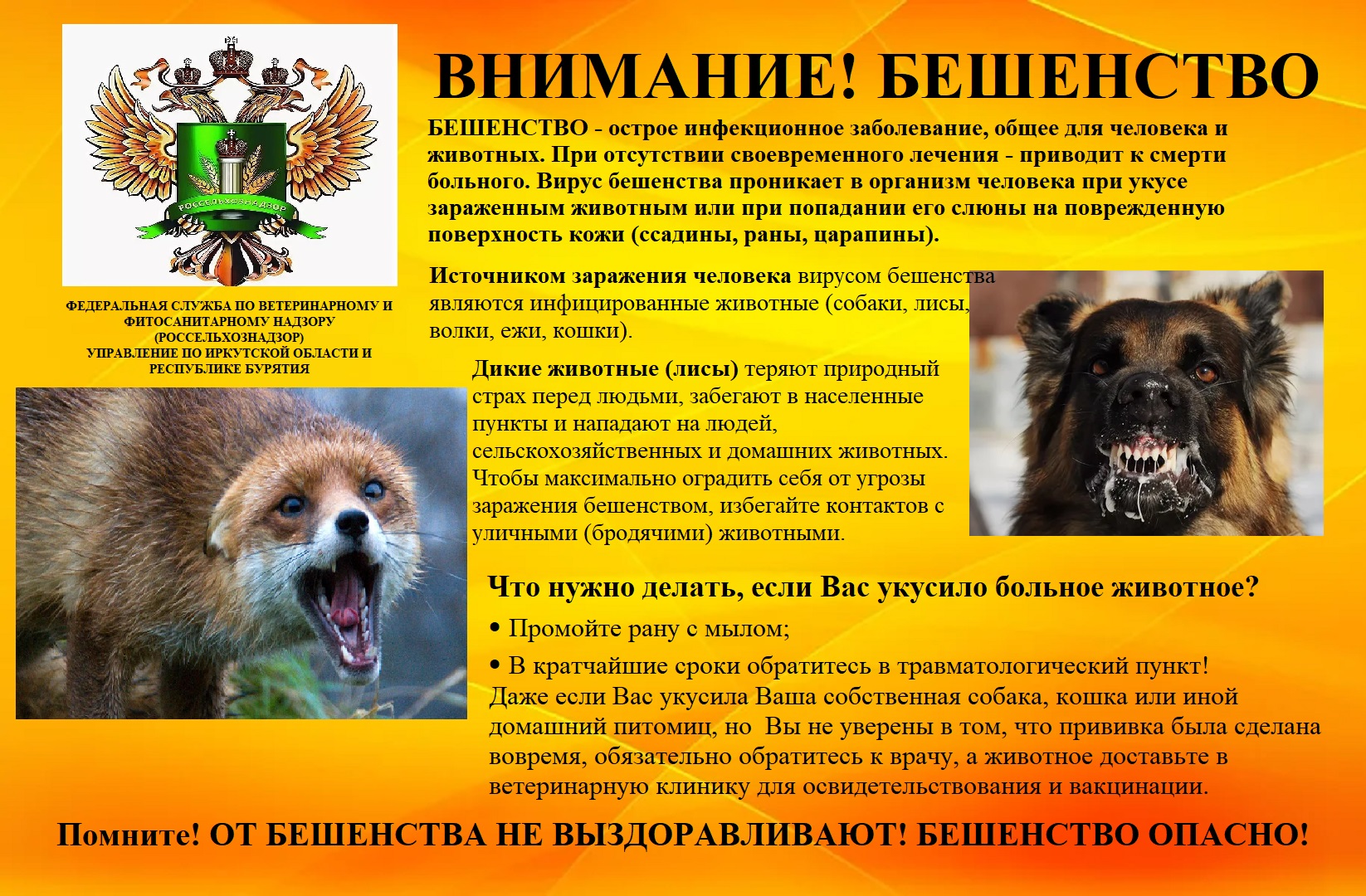 ВНИМАНИЕ! БЕШЕНСТВО.