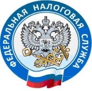 Декларационная кампания набирает обороты. Декларационная кампания набирает обороты.