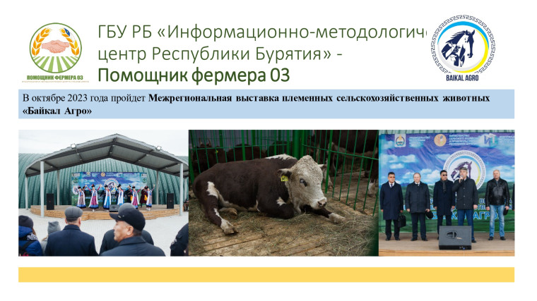 Информационно-методический центр Республики Бурятия.